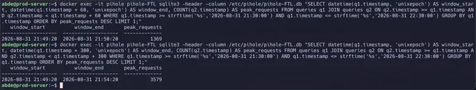 Terminal output showing an SQLite query on pihole-FTL.db isolating 1,369 requests in a 60-second window.